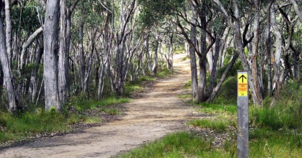 Waterfall Gully to Mt Lofty Summit Waterfall gully to mt lofty summit