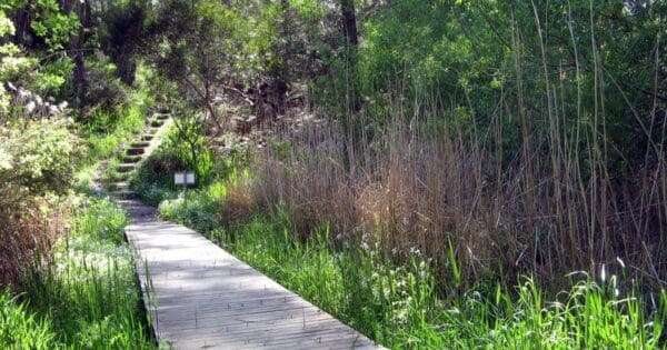 Woorabinda bushland reserve circuit