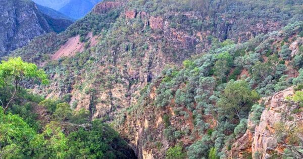 Yellow Track Bungonia National Park Yellow track bungonia national park