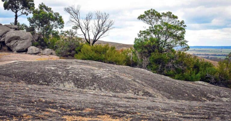 Big rock walk