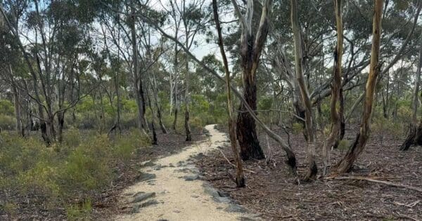 Branding Yard Trail Branding yard trail