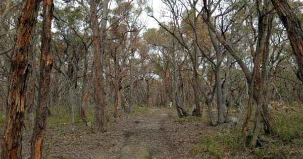 Brisbane Ranges Loop Victoria Brisbane ranges loop victoria