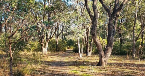 Congwarra Trail Congwarra trail