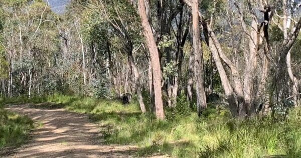 Devils Gap Hike Devils gap hike