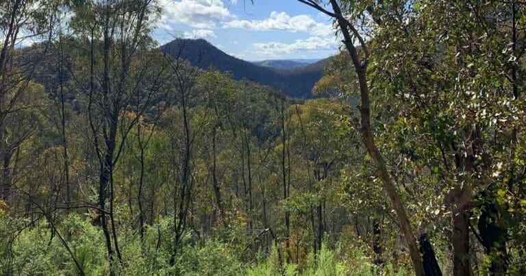 Devils gap loop