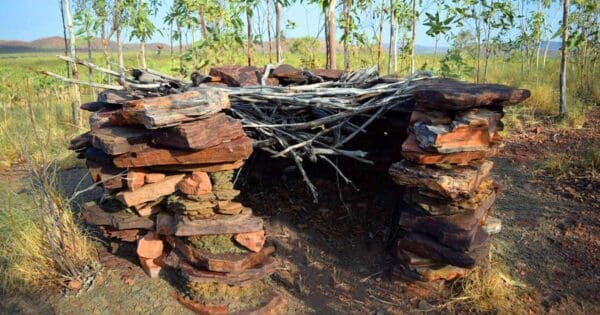 Ginger’s hill walk