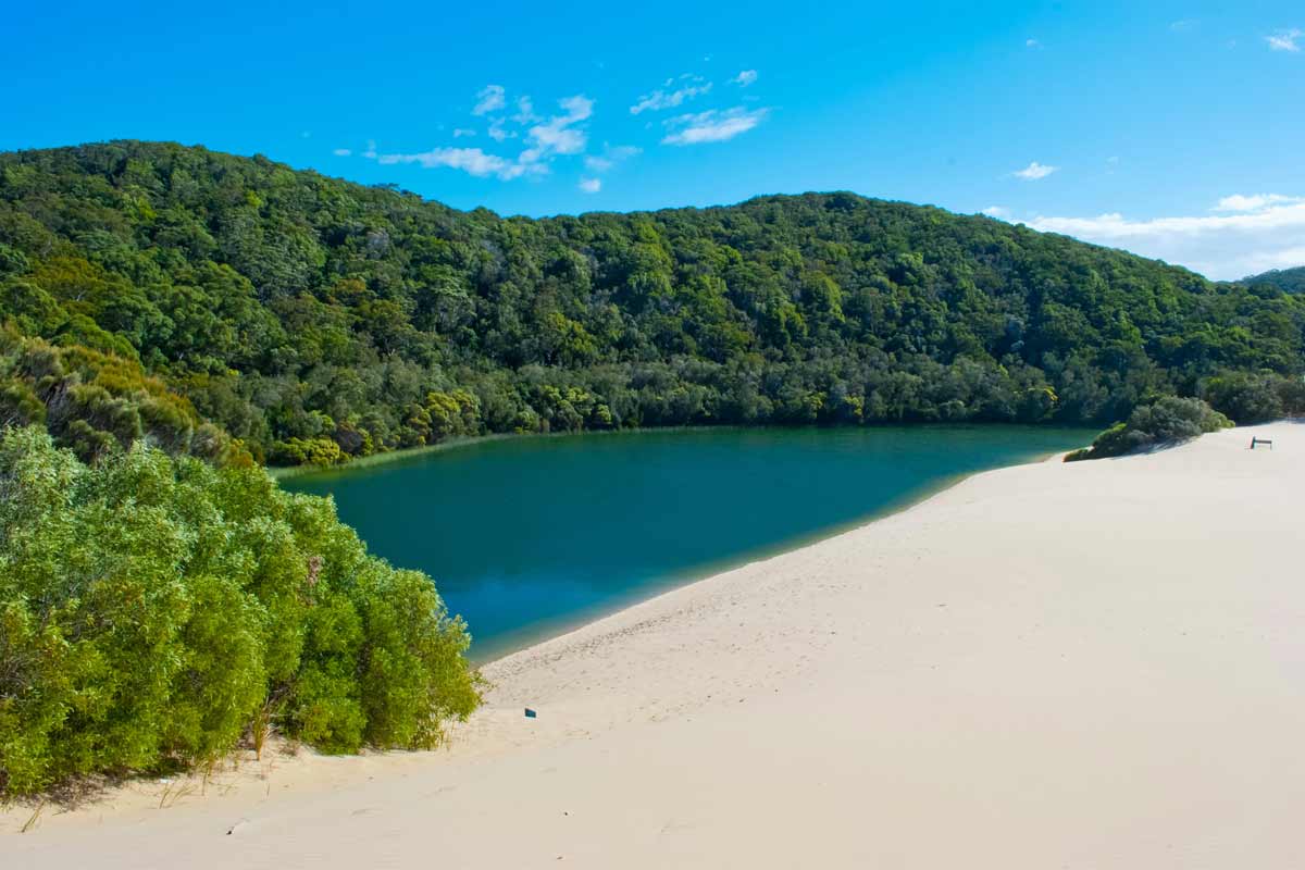 K’gari (fraser island) great walk