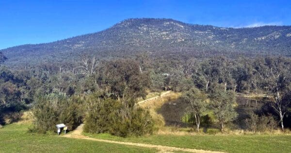 Namadgi Woodland Walk Namadgi woodland walk