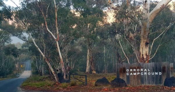 Orroral Campground Loop Track Orroral campground loop track