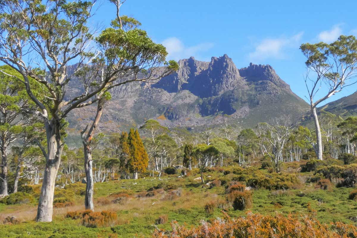 Overland track