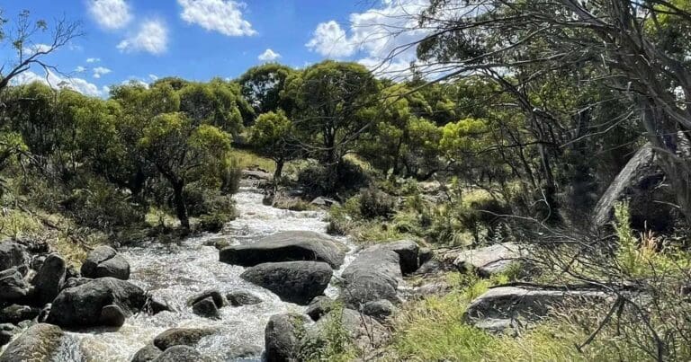 Rendezvous creek walk
