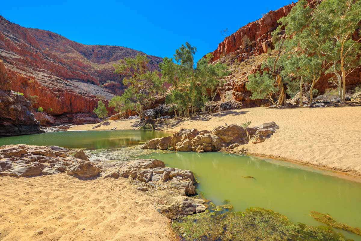 The larapinta trail