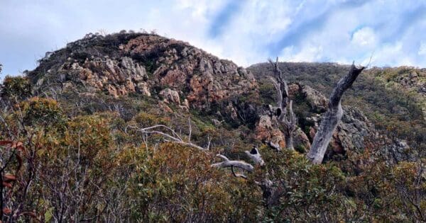 Tidbinbilla Peak Tidbinbilla peak