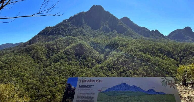 Yellow pinch lookout