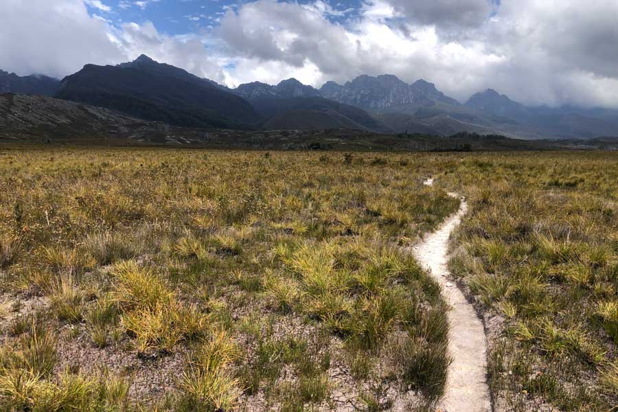 Beyond-the-journey Image of the western arthurs from the plains below
