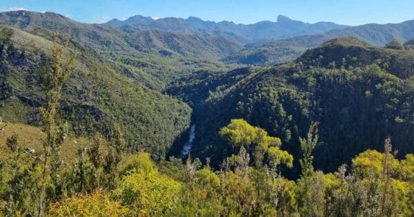 Donaghys Hill Lookout Donaghys hill lookout