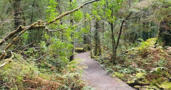 Franklin Nature Trail Franklin nature trail