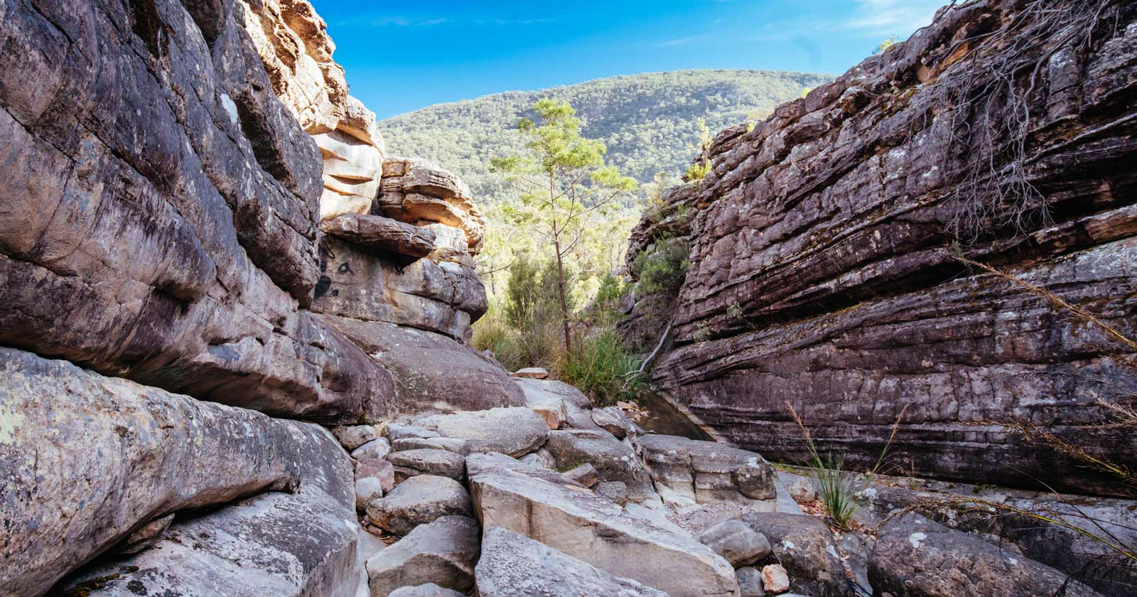 Grampians National Park: Victoria's Ancient Bushwalking Trails Wonderland range: grand canyon in the grampians