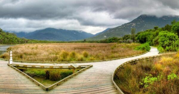 Loo-Errn Track Wilsons Prom Loo-errn track wilsons prom