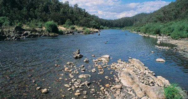 Raymond Creek Walking Track Raymond creek walking track