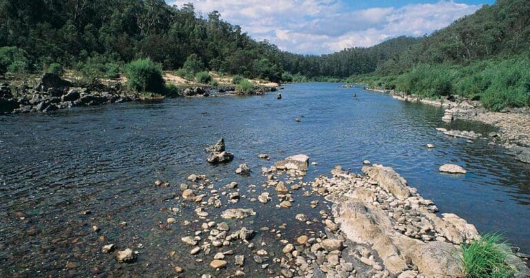 Raymond creek walking track