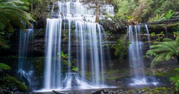 Russell Falls Tasmania Russell falls tasmania