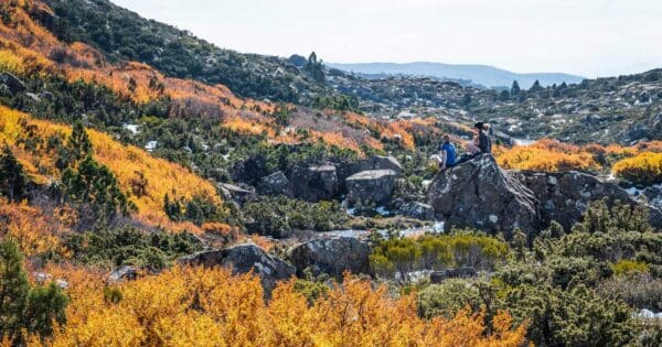 Tarn shelf mount field