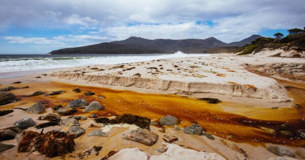 Wineglass bay freycinet national park