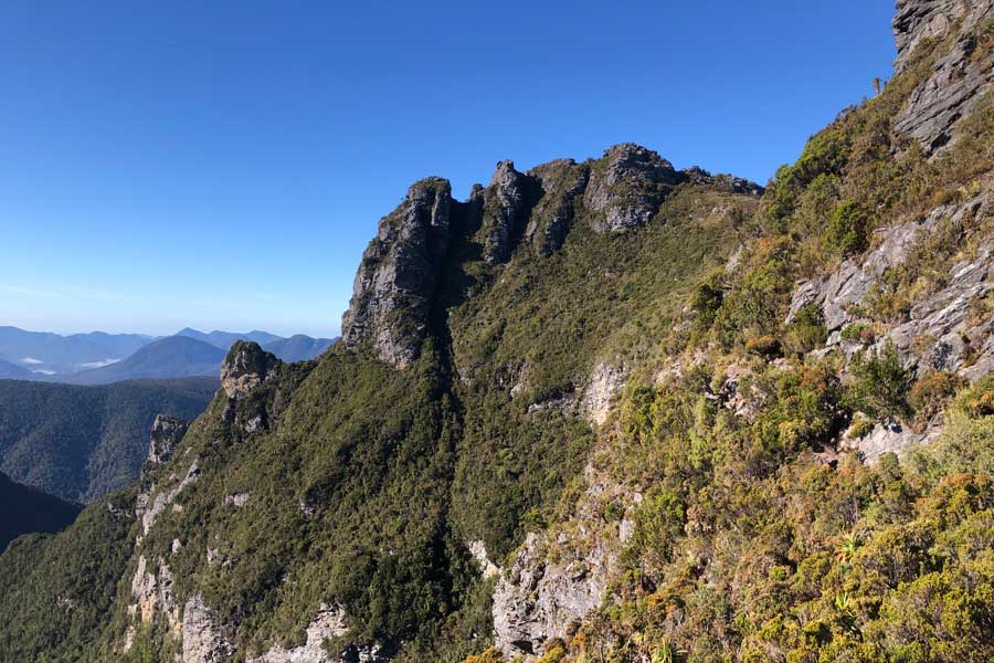our-track-is-in-there Image of our track along the sheer face