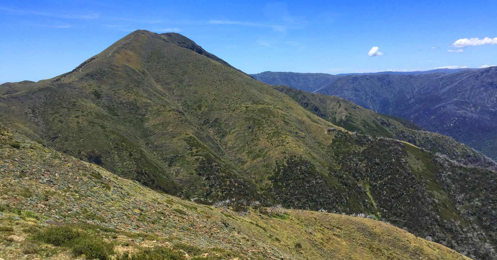 Hike Victoria: Diverse Trails for Every Explorer Mount feathertop (1,922m)