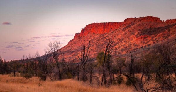Mount gillen & the heavitree range hike
