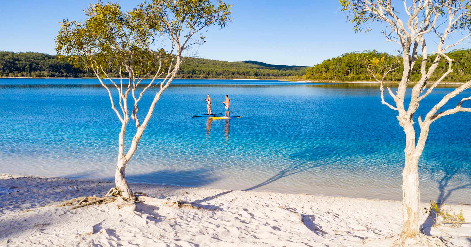 K'gari (fraser island) great walk
