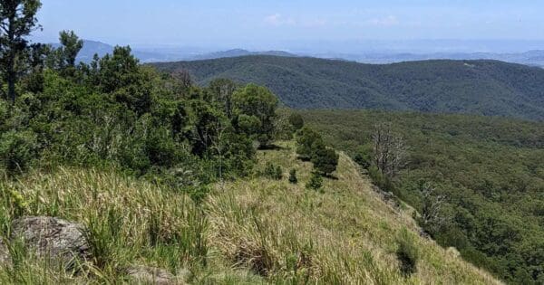 Pieries Peak walking track Pieries peak walking track