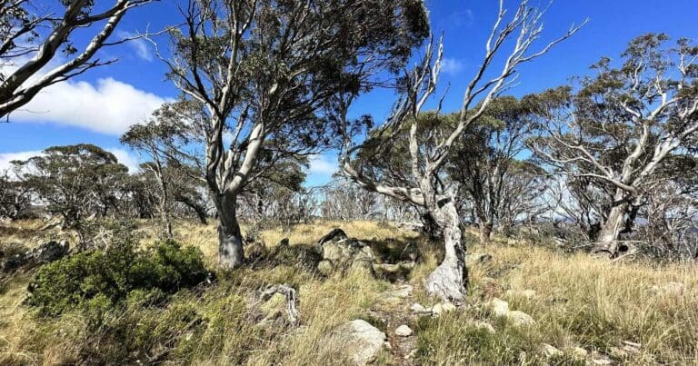 Stockyard spur hike