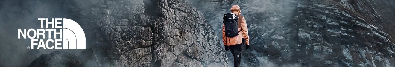 The north face banner