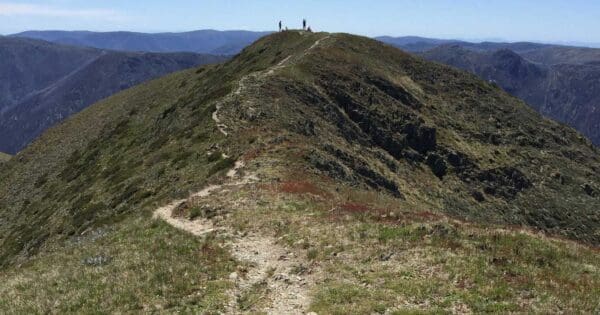 Mount Feathertop Champion Spur Hike Mount feathertop champion spur hike