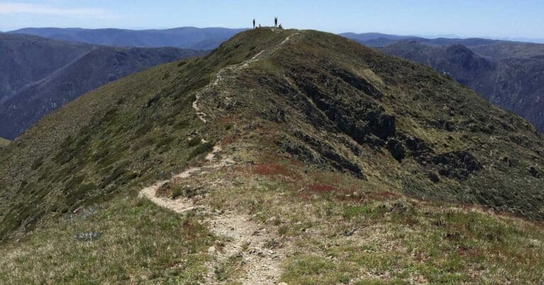 Find a hike or bushwalk