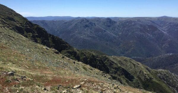 Mount Feathertop Diamantina Spur Mount feathertop diamantina spur