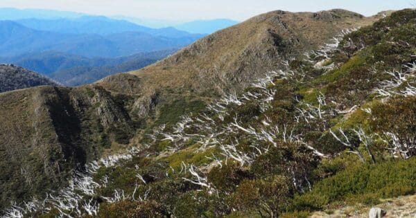 Mount Feathertop North West Spur Mount feathertop north west spur