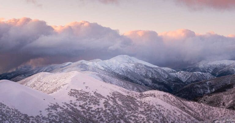 Find a hike or bushwalk