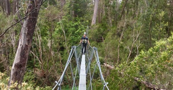 Pine Valley Hike Pine valley hike