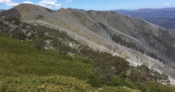 Mount Feathertop Bon Accord and Bungalow Spurs Mount feathertop bon accord and bungalow spurs