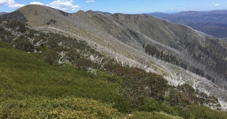 Mount Feathertop Bon Accord and Bungalow Spurs Mount feathertop bon accord and bungalow spurs