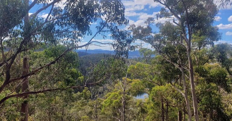 Waterworks reserve reservoir circuit