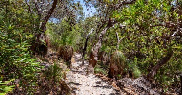 Alexandria Bay Walk Alexandria bay walk