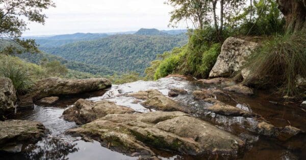 Gold Coast Hinterland Great Walk Gold coast hinterland great walk