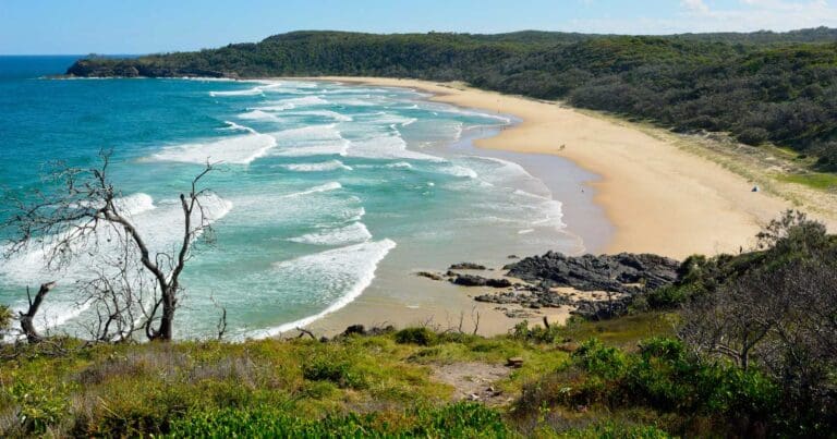 Noosa coastal walk