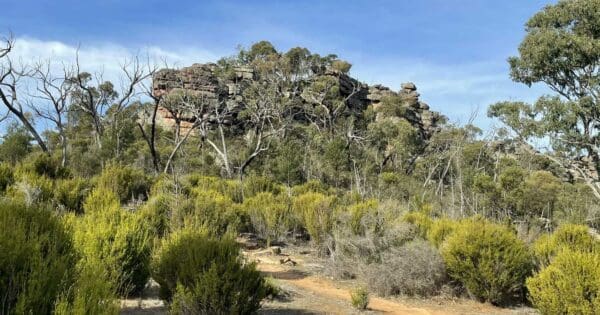 Paddy Castle Walking Track Paddy castle walking track