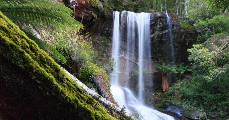 Shower cave falls hike