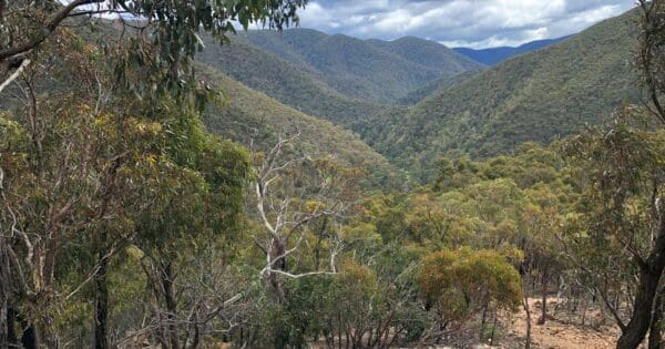 The Scenic Rim: Link 2 Hike The scenic rim: link 2 hike